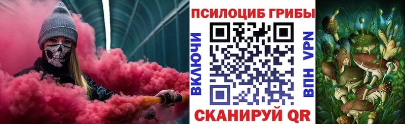 Псилоцибиновые грибы Psilocybine cubensis  Купить  Константиновск 